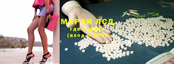 бошки Горняк