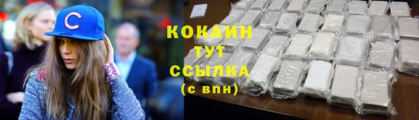 бошки Горняк