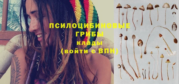 герыч Горнозаводск