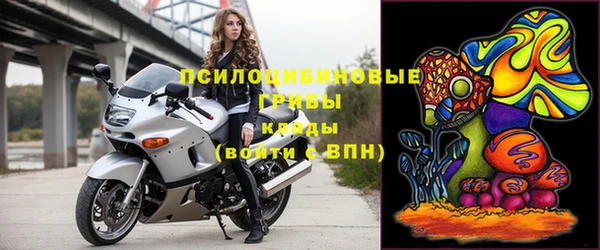 бошки Горняк