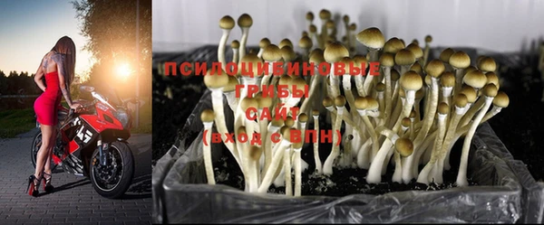 бошки Горняк