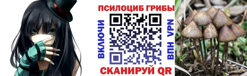 Галлюциногенные грибы мицелий  Тамбов 