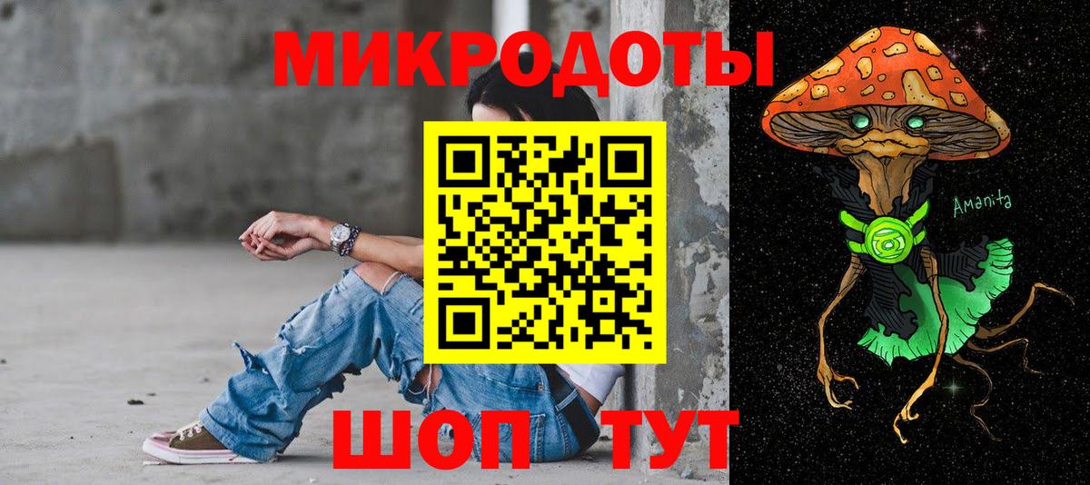 Галлюциногенные грибы Psilocybine cubensis Тамбов