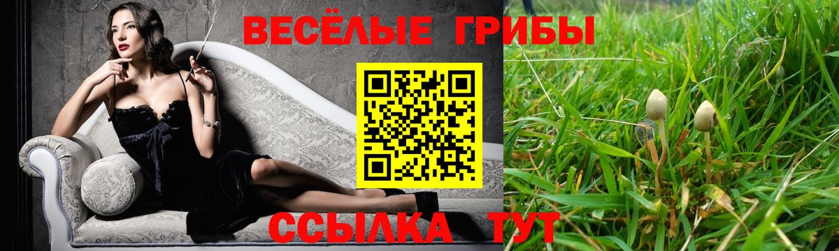 Тамбов  Псилоцибиновые грибы ЛСД  Вход с VPN 